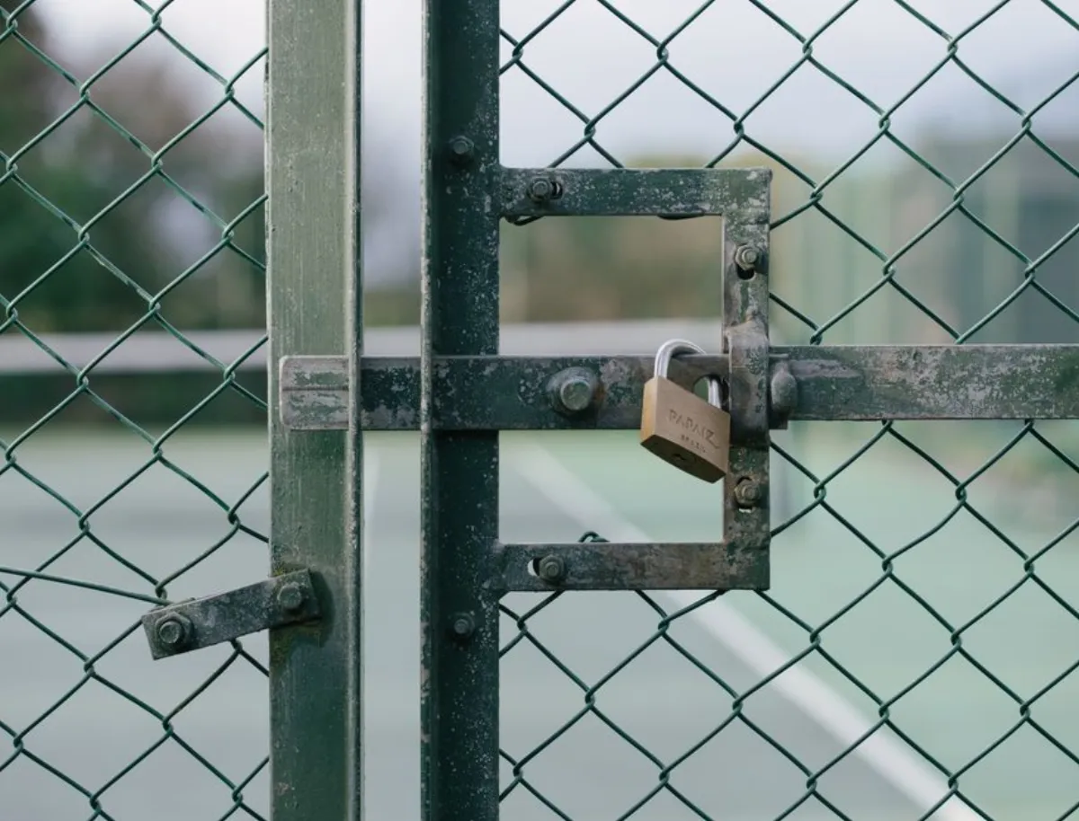 体育直播在线观看免费避坑